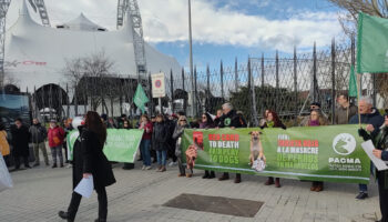 PACMA se concentra en Madrid contra la masacre de perros en Marruecos durante FITUR 2026