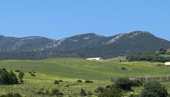 Exigen al Ayuntamiento de Tarifa el cumplimiento inmediato de la sentencia del caso ‘Las Piñas’ y un informe detallado de su ejecución