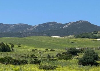 Exigen al Ayuntamiento de Tarifa el cumplimiento inmediato de la sentencia del caso ‘Las Piñas’ y un informe detallado de su ejecución