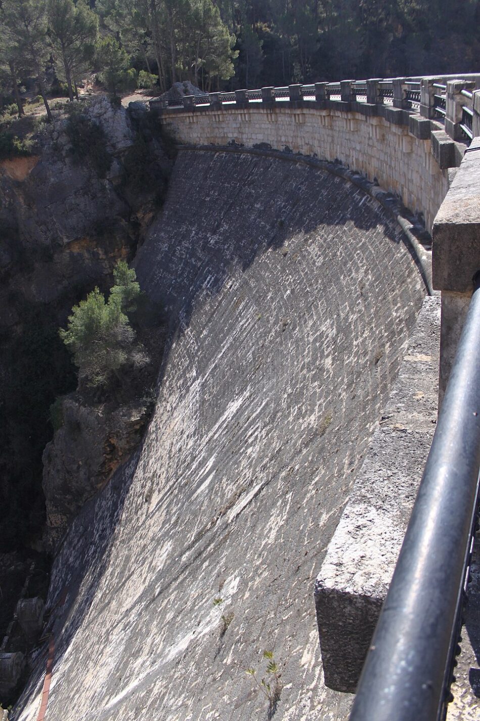 Espinosa: “Es inaceptable que PP y Vox continúen impidiendo que Barrachina rinda cuentas sobre su gestión en Buseo”