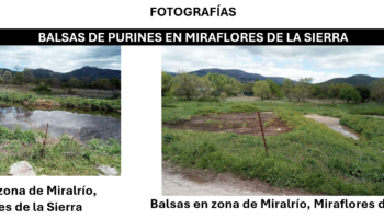 Exigen a la administración que controle la eliminación de purines ganaderos en la comarca del río Guadalix