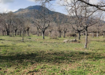 Ecologistas en Acción Sierras de La Comunidad de Madrid pide al Ayuntamiento de Cercedilla la retirada del Avance del Plan General de Ordenación Urbana