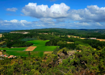 “Persoa interesada no procedemento” da mina de Touro