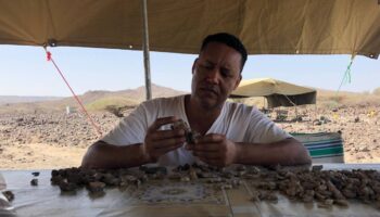 Un nuevo fósil hallado en Etiopía revela que el ‘hombre cascanueces’ se aventuró más al norte de lo que se creía