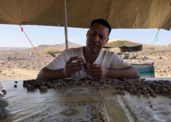 Un nuevo fósil hallado en Etiopía revela que el ‘hombre cascanueces’ se aventuró más al norte de lo que se creía