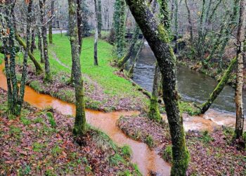 Plataforma Mina Touro – O Pino NON: «Los ríos muertos por la minería que solo un ciego no vería»
