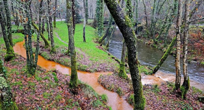 Plataforma Mina Touro – O Pino NON: «Los ríos muertos por la minería que solo un ciego no vería»