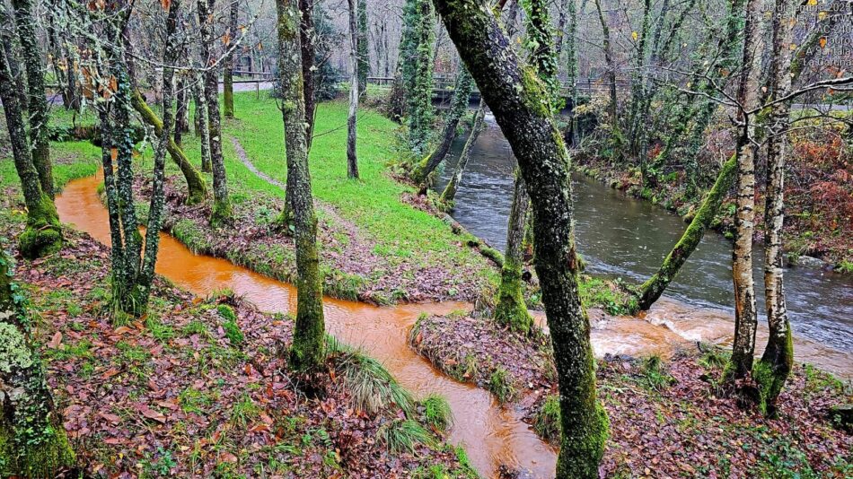 Plataforma Mina Touro – O Pino NON: «Los ríos muertos por la minería que solo un ciego no vería»