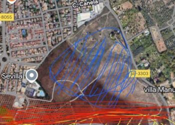 ADTA–Ecologistas en Acción muestra preocupación por el proyecto municipal de “bosque” en Mairena del Aljarafe