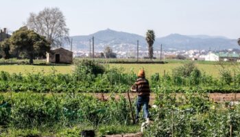 BComú força el Govern municipal a rebutjar l’acord UE-Mercosur