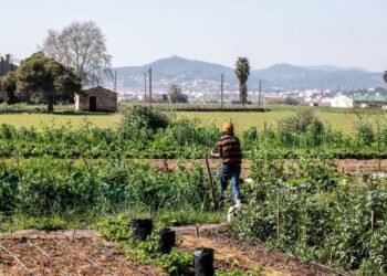 BComú força el Govern municipal a rebutjar l’acord UE-Mercosur