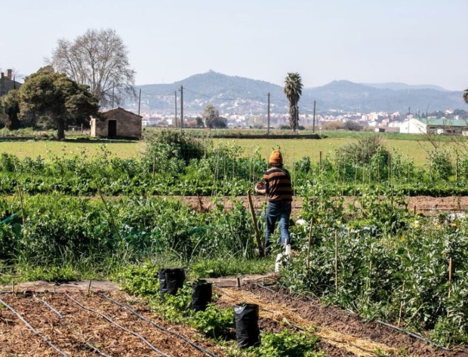 BComú força el Govern municipal a rebutjar l’acord UE-Mercosur