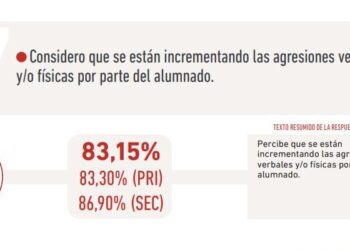 USTEA y STEs: «Ocho de cada diez docentes de Sevilla alertan del aumento de agresiones del alumnado hacia el profesorado»
