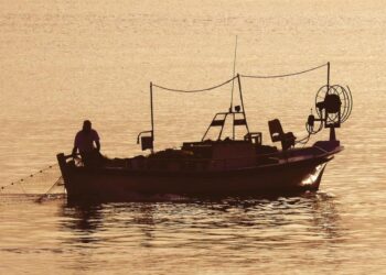 ETF exige que la UE aclare el Reglamento de Control de la Pesca y aplique exenciones a la pesca artesanal y de pequeña escala