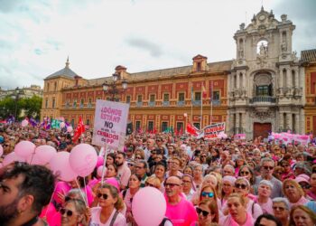 Por Andalucía, las Mareas Blancas y AMAMA trasladarán a Bruselas la situación crítica de la Sanidad Pública andaluza