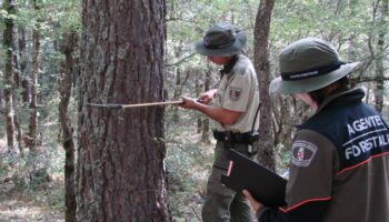 Instamos a los grupos parlamentarios a convalidar el RD para aplicar coeficientes reductores a los agentes forestales y medioambientales