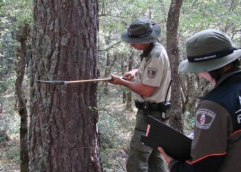 FSC-CCOO: «Instamos a los grupos parlamentarios a convalidar el RD para aplicar coeficientes reductores a los agentes forestales y medioambientales»