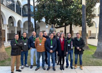 Adelante Andalucía exigirá a la Junta de Andalucía que no deje caer a los 3.500 trabajadores de Ayesa