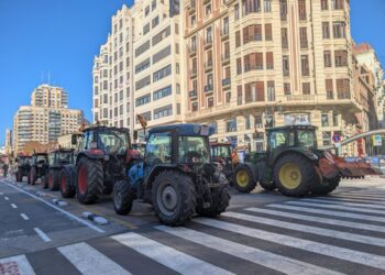 Compromís plantea en las Corts el rechazo al acuerdo con Mercosur, que pone en peligro el futuro del sector agropecuario valenciano