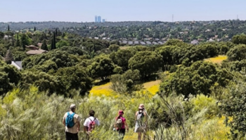 La emergencia habitacional como pretexto para eliminar protecciones y ampliar el negocio inmobiliario en la Comunidad de Madrid