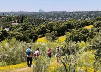 La emergencia habitacional como pretexto para eliminar protecciones y ampliar el negocio inmobiliario en la Comunidad de Madrid