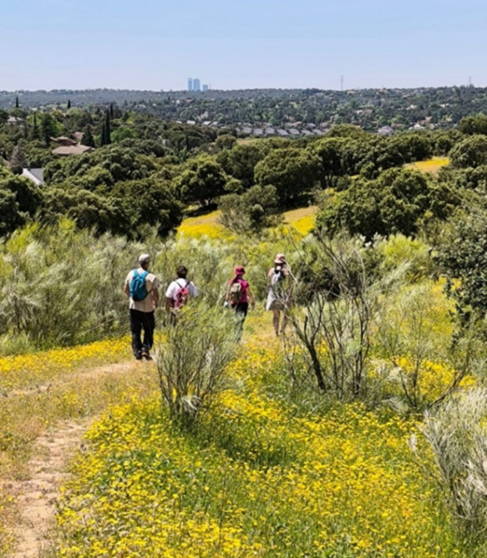 La emergencia habitacional como pretexto para eliminar protecciones y ampliar el negocio inmobiliario en la Comunidad de Madrid