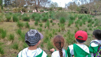 Denuncian retroceso en la educación ambiental en Extremadura