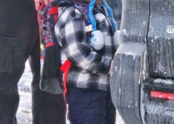 Comisión pide acciones de Ecuador ante la detención de un niño de 5 años detenido por el ICE en EEUU