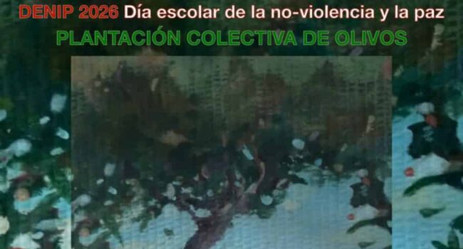 Plantación de olivos en los centros educativos para conmemorar el Día Escolar de la No Violencia y la Paz