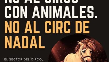 Salen a la luz imágenes de los animales del Valencia Circ de Nadal y se convoca una concentración este sábado 10 de enero