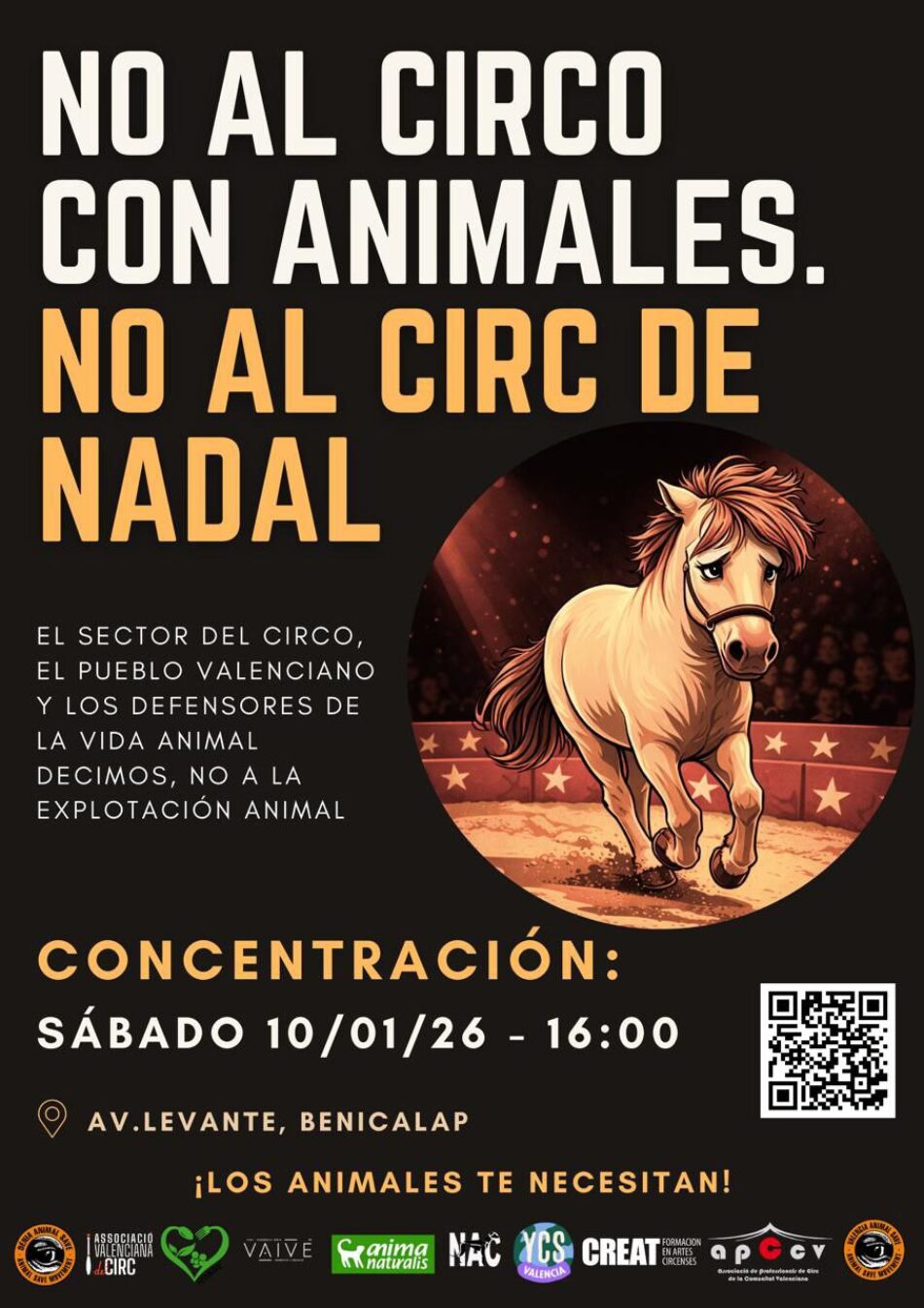 Salen a la luz imágenes de los animales del Valencia Circ de Nadal y se convoca una concentración este sábado 10 de enero