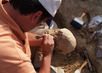 Revelan la ascendencia mixta ibérica, mediterránea y norteafricana de un individuo enterrado en el dolmen de Menga