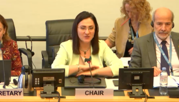 El Comité de Derechos del Niño reactiva las exigencias a España para que impida que la infancia sea expuesta a la tauromaquia