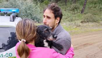 PACMA anuncia que el perro Boro ha sido rescatado durante la mañana de este jueves por bomberos forestales de INFOCA