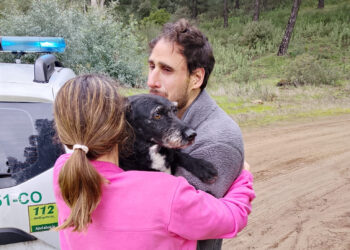 PACMA anuncia que el perro Boro ha sido rescatado durante la mañana de este jueves por bomberos forestales de INFOCA