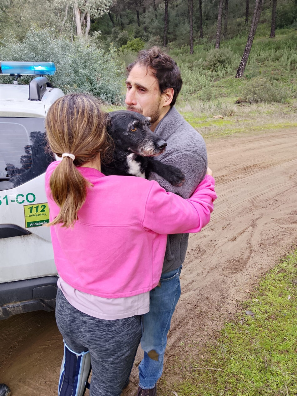 PACMA anuncia que el perro Boro ha sido rescatado durante la mañana de este jueves por bomberos forestales de INFOCA