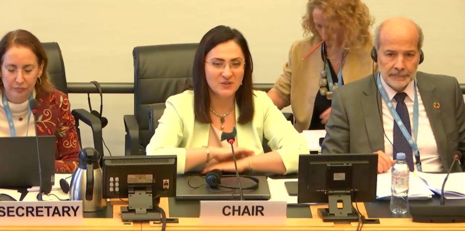 El Comité de Derechos del Niño reactiva las exigencias a España para que impida que la infancia sea expuesta a la tauromaquia