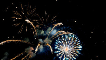 PACMA reclama una legislación estatal contra el uso de pirotecnia ruidosa tras una Nochevieja «caótica»