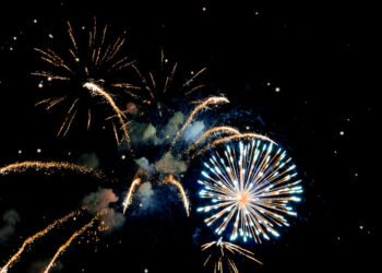 PACMA reclama una legislación estatal contra el uso de pirotecnia ruidosa tras una Nochevieja «caótica»