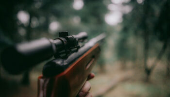 El Comité de los Derechos del Niño pide explicaciones a España por permitir el acceso de menores de edad a la caza con armas de fuego 