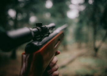 El Comité de los Derechos del Niño pide explicaciones a España por permitir el acceso de menores de edad a la caza con armas de fuego 