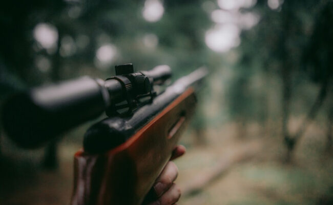 El Comité de los Derechos del Niño pide explicaciones a España por permitir el acceso de menores de edad a la caza con armas de fuego 