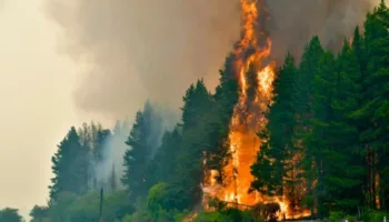 Argentina: Incendios en Chubut siguen activos, contradiciendo declaraciones del gobernador