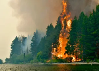 Argentina: Incendios en Chubut siguen activos, contradiciendo declaraciones del gobernador