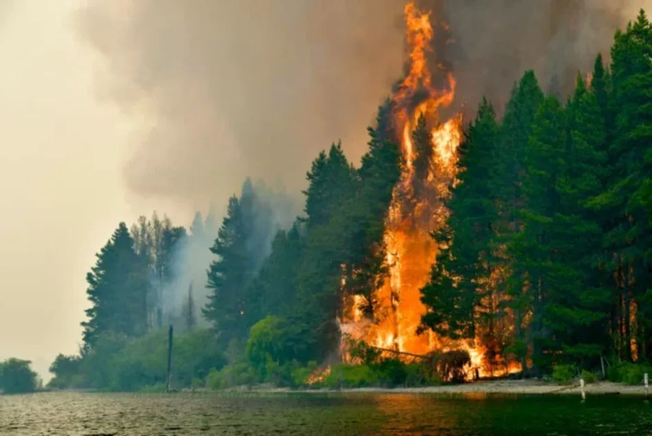Argentina: Incendios en Chubut siguen activos, contradiciendo declaraciones del gobernador