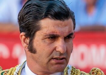 PACMA tilda de “aberración institucional” la concesión de la Medalla de Andalucía a la Cultura a Morante de la Puebla