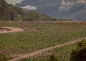 Por Un Mar Vivo y Sos Mar Menor exigen datos, análisis y actuaciones inmediatas ante los indicios de metales pesados en suelos agrícolas de todo Campo de Cartagena