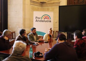 Un amplio frente cultural alerta del deterioro del ICAS en una reunión con Por Andalucía