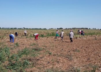 CCOO reclama al Gobierno andaluz un nuevo plan de inclusión para la población inmigrante