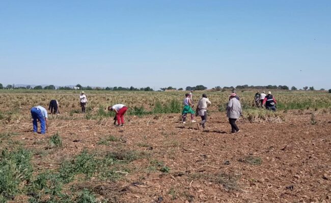 CCOO reclama al Gobierno andaluz un nuevo plan de inclusión para la población inmigrante